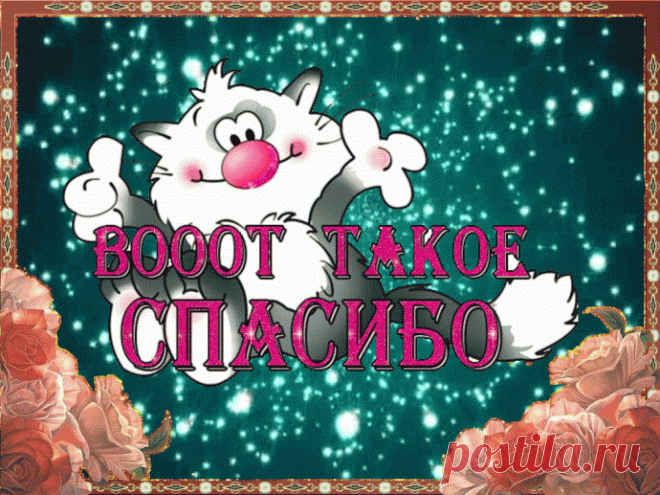 СПАСИБО РЕДАКТОРУ