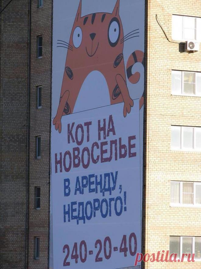 83a3de7e8e511991cec04fab1d4.jpg (изображение «JPEG», 720 × 960 пикселов)