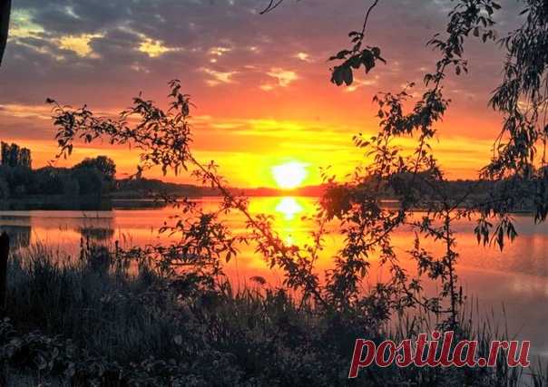 #На_позитиве_интересно #интересно
Разум может подсказать, чего следует избегать.
И только сердце знает, что следует делать.

Жозеф Жубер