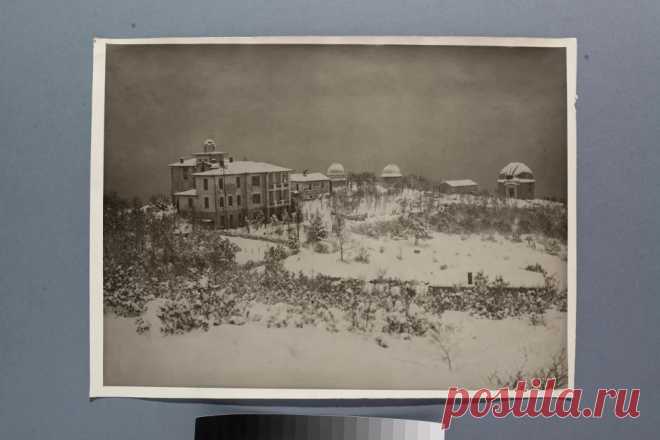 Общий вид Пулковской обсерватории. Неизвестный фотограф. До 1941 г. (отпечаток более позднего времени)