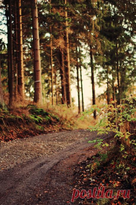 aut viam inveniam aut faciam