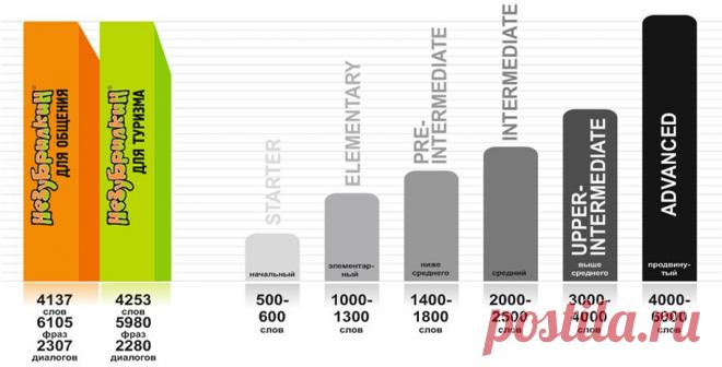 Незубрилкин - Содержание