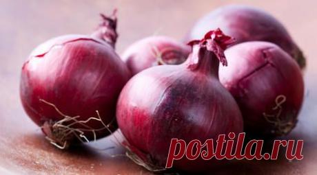 Чем уникален красный лук | БУДЕТ ВКУСНО!