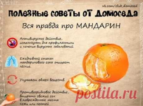 neskol'ko poleznykh sovetov v kartinkakh (13)