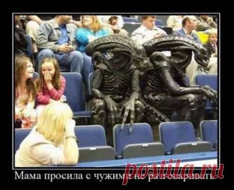 Демотиваторы в пятницу (16 шт) . Тут забавно !!!