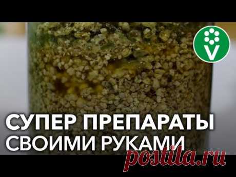 (8) САМЫЙ ПРОСТОЙ СПОСОБ размножения биопрепаратов (триходерма, метаризин, боверин) - YouTube