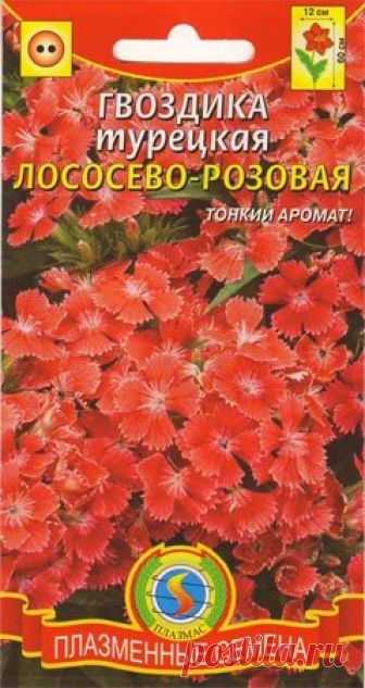 Гвоздика турецкая Лососево розовая (п) Декоративное садовое растение, выращиваемое как двулетнее, высотой до 
60см с плотными, немного приплюснутыми шапками бархатистых цветков. 
Стебли прямые, прочные, узловатые, многочисленные. Многочисленные 
лососево-розовые ароматные цветки, до 2см в диаметре, собраны в 
щитковидные соцветия 8-12см в поперечнике. В отличие от других видов 
гвоздики нетребовательна к свету, отличается холодо- и 
морозоустойчивостью. Располагать посадки...
