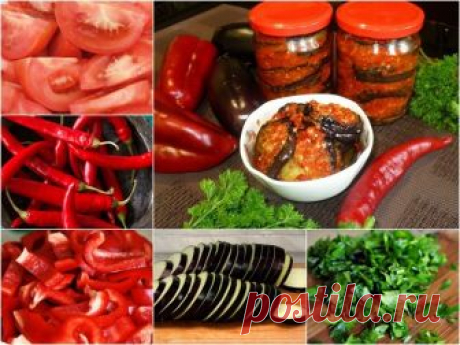 Аджика с баклажанами
Очень вкусная аджика на зиму или просто так покушать.
Хранится долго.

Ингредиенты:
- 2 кг томатов,
- 1 кг баклажанов,
- 1 кг болгарского перца,
- 5 стручков острого перца,
- 300 г чеснока,
- пучок кинзы или петрушки,
- 250 мл растительного масла,
- 2 ст. ложки соли или по вкусу,
- 1 ст. ложка сахара,
- 100 мл 9% уксуса (можно заменить яблочным),

Приготовление:
1. Помидоры помыть, удалить место где крепилась плодоножка. Порезать дольками или пополам. ...