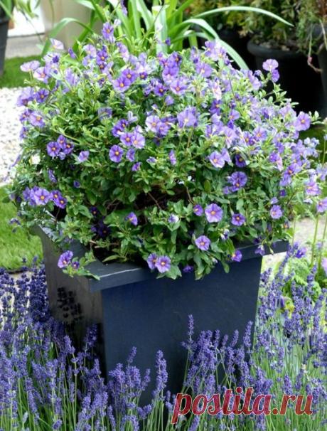 ....................