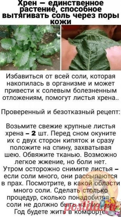 (2) Мой Мир@Mail.Ru