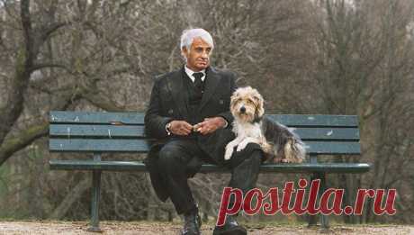 «До рая доходят только те, кто не бросает своих» Мудрость в нескольких строках, которые запомнятся на всю жизнь. Умер человек. Его пес рядом лег и тоже умер. И вот душа человека стоит перед золотыми вратами и рядом – душа собаки. У ворот – привратник.