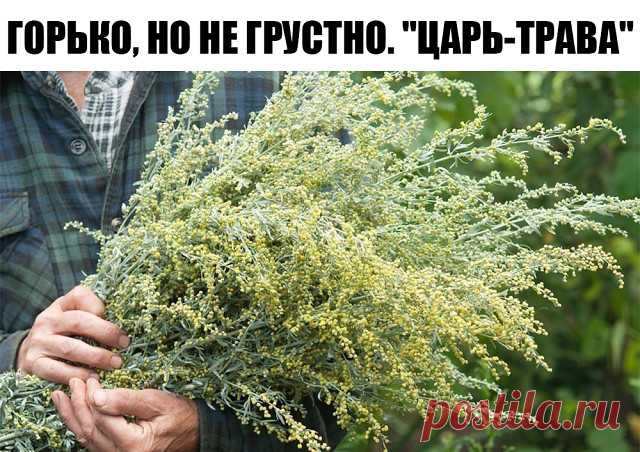ГОРЬКО, НО НЕ ГРУСТНО. 