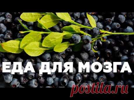 ЕДА ДЛЯ ВАШЕГО МОЗГА. Что полезно для вашего мозга?
