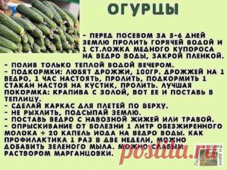 #ОвощеводствоПарники
Всем на заметку!