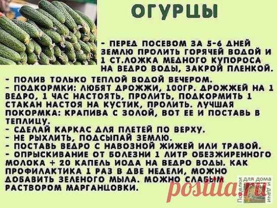 #ОвощеводствоПарники
Всем на заметку!