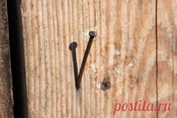 Если острый гвоздь предварительно затупить, вероятность того, что доска треснет, сильно уменьшится / Взлом логики