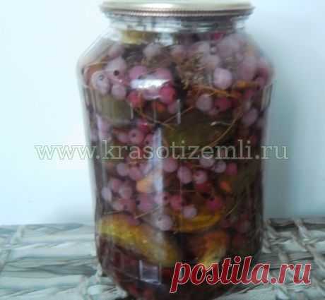 Маринованные огурцы с красной смородиной без уксуса и стерилизации | Красоты земли