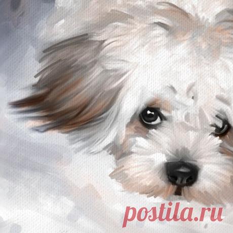Pinterest: инструмент для поиска и хранения интересных идей