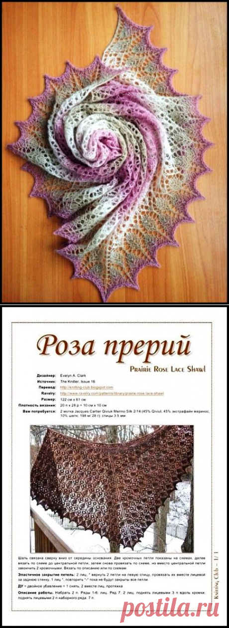 Шаль &quot;Роза прерий&quot;.