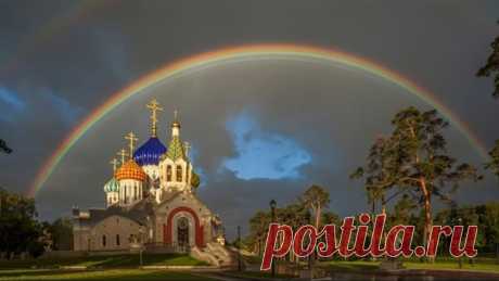 (46) Одноклассники