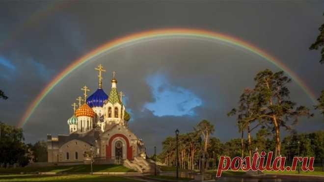 (46) Одноклассники