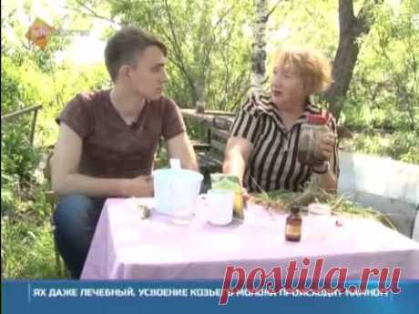 Народные средства от комаров