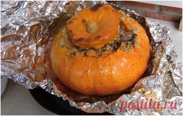 Казачий край – тыквенный рай. Или правильнее будет сказать «кабашный» | Кому на Дону жить хорошо | Дзен