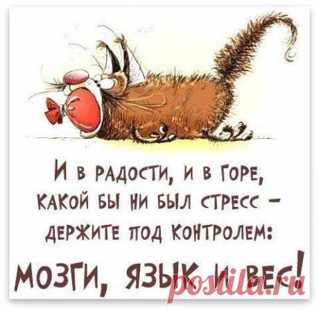 Позитив в коротких фразах | Домашняя аптечка