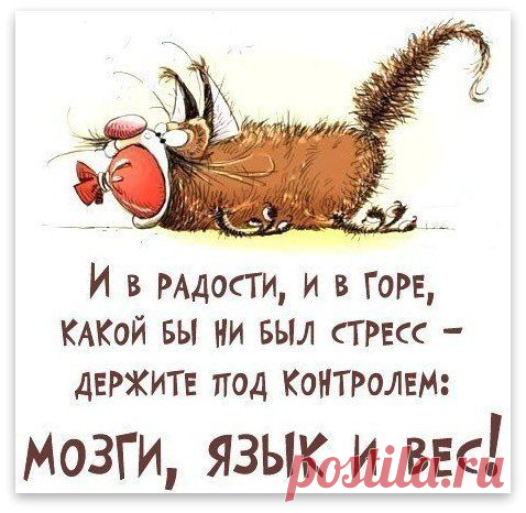 Позитив в коротких фразах | Домашняя аптечка