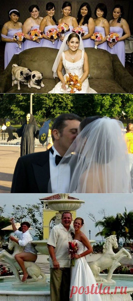 Wedding Photobombs (45 Photos) | FunCage