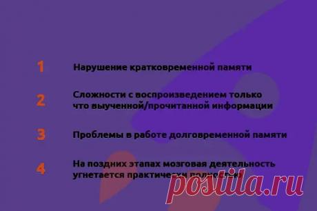 (4) Как перестать все забывать: простые способы улучшить память - ПолонСил.ру - социальная сеть здоровья - 20 сентября - 43589492277 - Медиаплатформа МирТесен