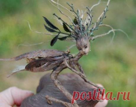 Лесные духи от молодого художника Chicorydell