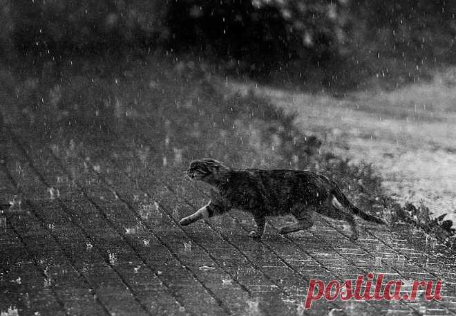Фото напролом - фотограф Максим Юлдашев - жанр, природа - ФотоФорум.ру