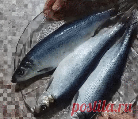 суперрецепт солки сельди