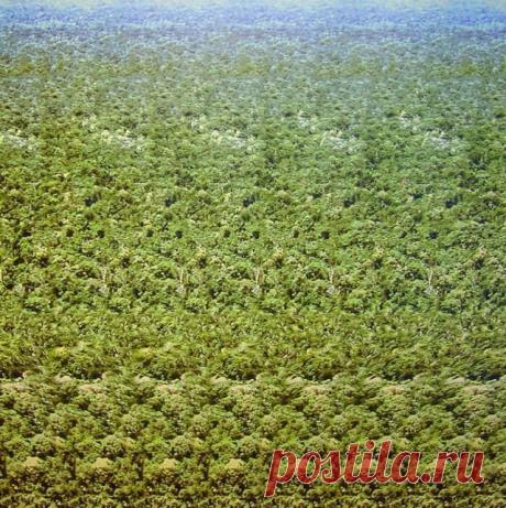 Стереокартинки. Продолжение 1. / Фотошоп и я.