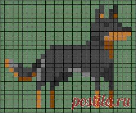 a black and brown dog standing in front of a green background with the words doberman on it