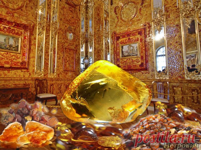 Дневник Петрович61