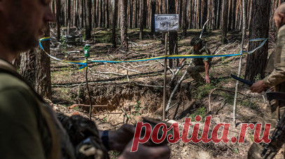 Британские сапёры учат бойцов ВСУ разминированию полей на полигонах Польши. Сапёры из инженерных войск Великобритании проводят обучение украинских военнослужащих разминированию полей и обезвреживанию снарядов, подготовка проходит в Польше. Читать далее