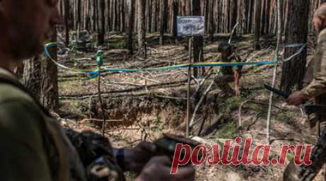 Британские сапёры учат бойцов ВСУ разминированию полей на полигонах Польши. Сапёры из инженерных войск Великобритании проводят обучение украинских военнослужащих разминированию полей и обезвреживанию снарядов, подготовка проходит в Польше. Читать далее