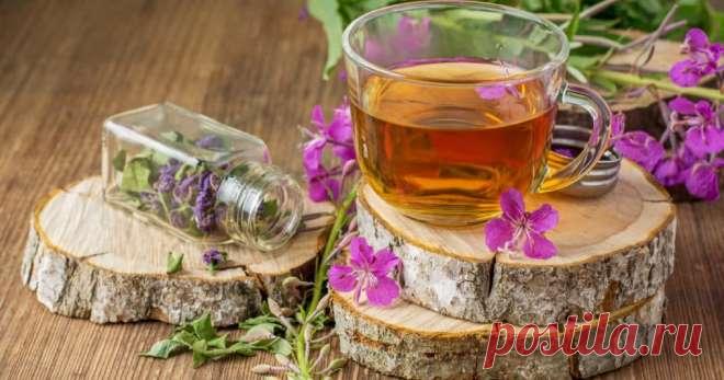 Как сушить иван-чай в домашних условиях для эффективного применения? 
О целебных свойствах кипрея слагают легенды, поэтому разузнать, как сушить иван-чай, стремятся все те, кто наряду с традиционной медициной предпочитают и альтернативные методы терапии. Свою популярно…