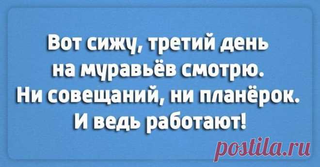 Подборка карточек с хорошим юмором