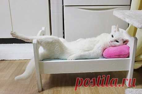 (75) Одноклассники