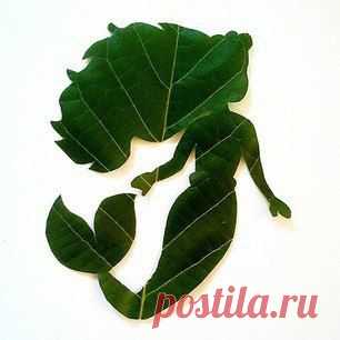 Интересные новости