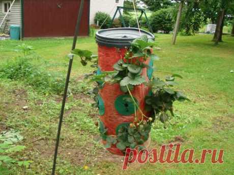 Изобретатель на даче - Подвесная грядка для земляники и её модификация (home.help.mycountrygarden) : Рассылка : Subscribe.Ru