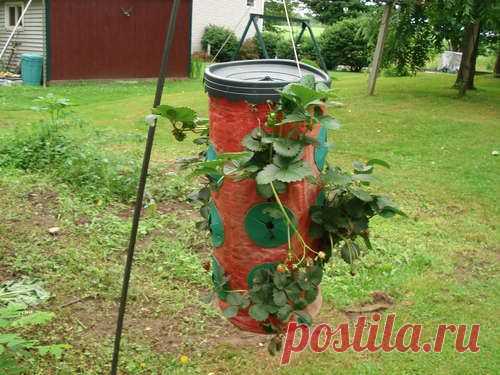 Изобретатель на даче - Подвесная грядка для земляники и её модификация (home.help.mycountrygarden) : Рассылка : Subscribe.Ru