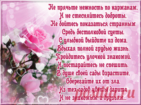 ЛЕНТА