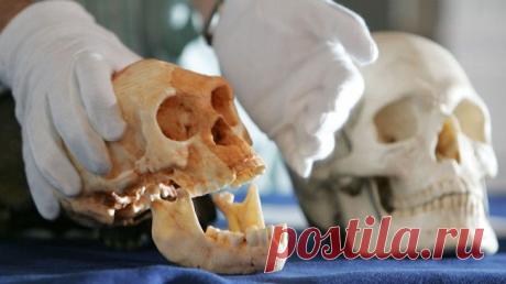 Тайные предшественники