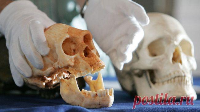 Тайные предшественники