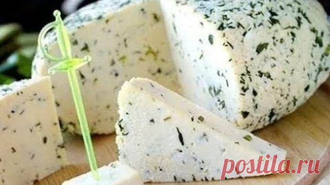 Как сделать адыгейский сыр в домашних условиях