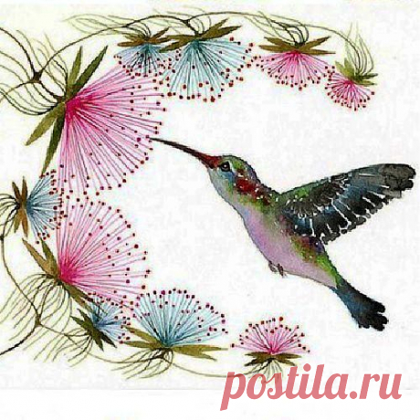#колибри #рисунки #птицы #птичка - Its my Live!